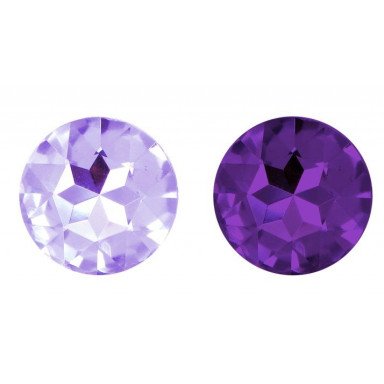 Набор из 2 золотистых анальных пробок с фиолетовыми кристаллами Booty Plug Original Luxury Set фото 4