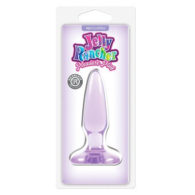 Фиолетовая анальная мини-пробка Jelly Rancher Pleasure Plug Mini - 8,1 см., фото