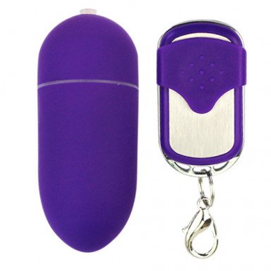 Продолговатое фиолетовое виброяйцо на пульте ДУ, фото