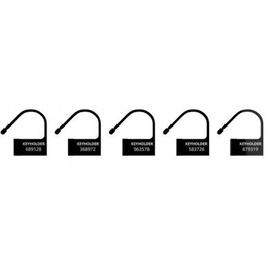 Черные пломбы-шильдики для пояса верности - 5 шт., фото