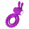Фиолетовое эрекционное кольцо на пенис JOS GOOD BUNNY, фото