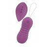 Фиолетовые вагинальные виброшарики Era с пультом ДУ, фото