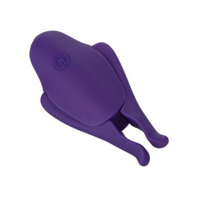 Фиолетовые виброзажимы для сосков Nipple Play Rechargeable Nipplettes, фото