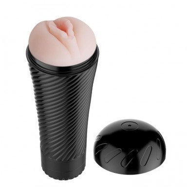Мастурбатор-вагина с многоуровневой вибрацией Pink Pussy, фото