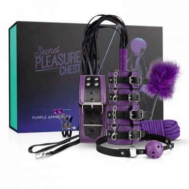 Фиолетовый эротический набор Dark Apprentice, фото