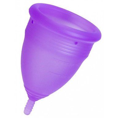 Фиолетовая менструальная чаша Lila L, фото