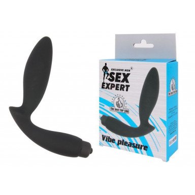 Чёрный вибростимулятор простаты Sex Expert Vibe Pleasure фото 2